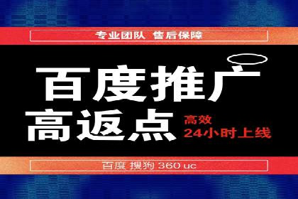 百度竞价与搜索引擎优化（SEO）结合的经典案例