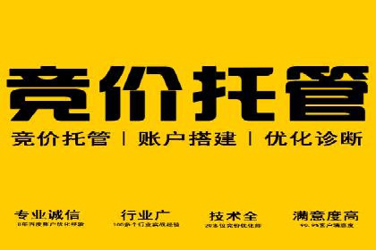 百度推广平台案例集锦：热门广告策略解析